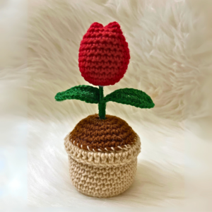 Tulip - Crochet Flower Pot