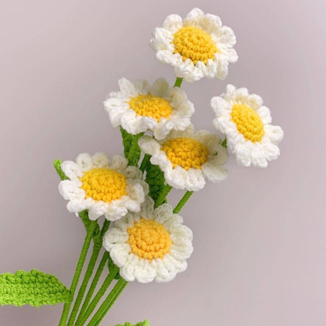 Daisy - Forever Crochet Flower