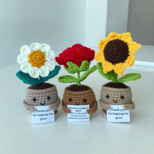 Cheer Pots – Motivational Desk Buddies