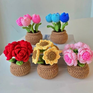 Everbloom – Crochet Flower Pots